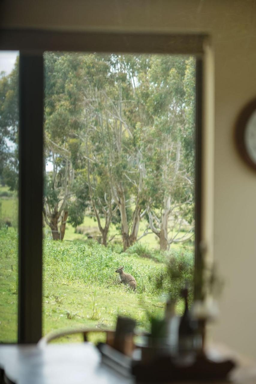 Villa Adventure Bay Retreat Bruny Island Esterno foto